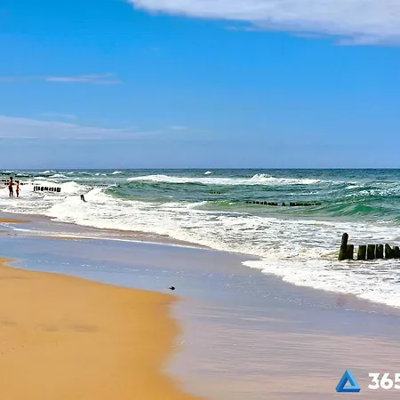 365pam - Belona Gąski