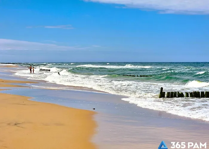 365pam - Belona Gąski